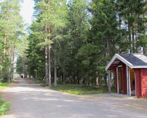 Skog, huse