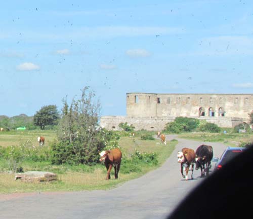 Kore Borgholms slott