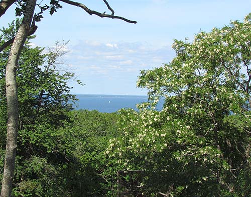 Utsikt mot havet