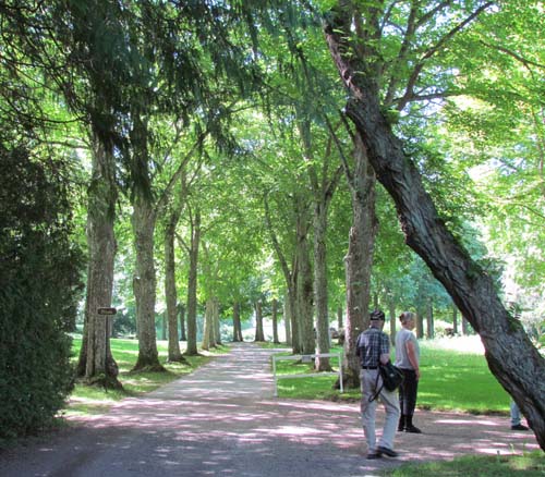 Solliden park